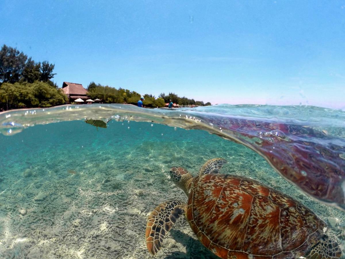 Segar Village Gili Air Kültér fotó